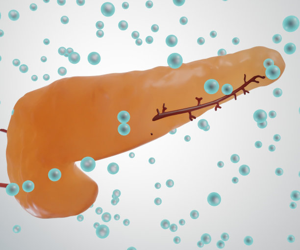 胰腺释放胰岛素图片下载