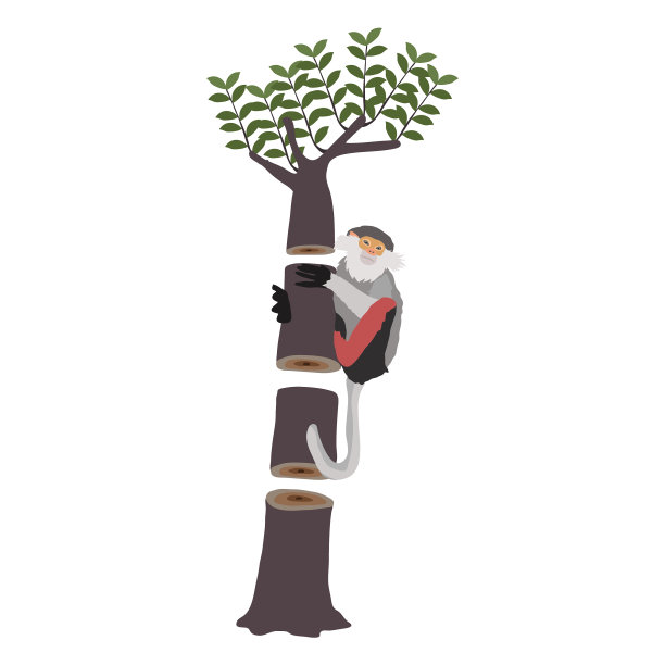 树与自然的生存图片下载