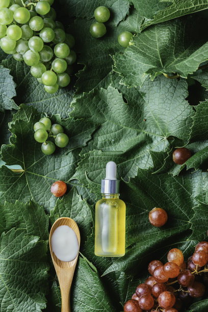 面部血清。含草本成分的有机生物化妆品。复制空间，平铺，从上面看。萃取，葡萄籽油图片下载