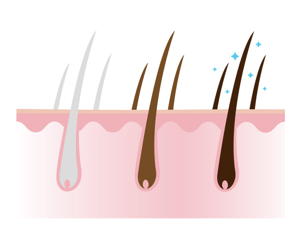 减少白发，使头发颜色变深图片下载