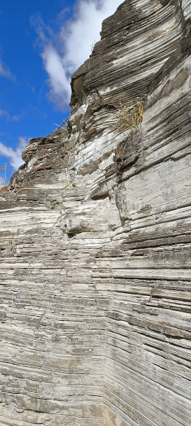 圣保罗的瓦尔维托公园。(SP), 2022年。图片下载