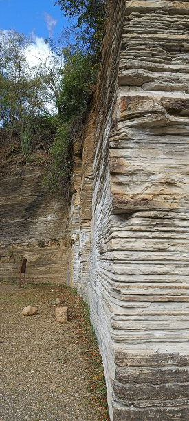 圣保罗的瓦尔维托公园。(SP), 2022年。图片下载