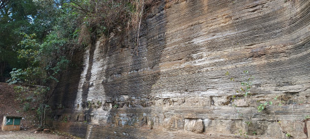 圣保罗的瓦尔维托公园。(SP), 2022年。图片下载