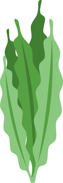 螺旋藻叶片图标等长藻类植物图片下载