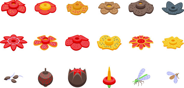 莱佛士亚图标设置等距开花图片下载