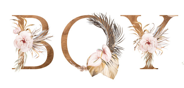 Word BOY，棕色水彩字母与干燥的叶子和热带花卉，波西米亚插图图片下载