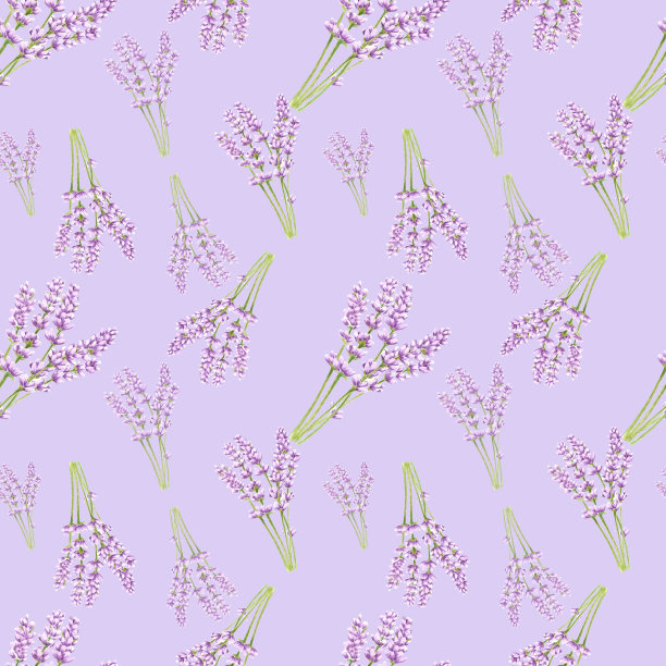 手绘薰衣草花无缝图案。水彩紫色薰衣草在紫色的背景。剪贴簿设计，印刷海报，标签，横幅，纺织品。图片下载