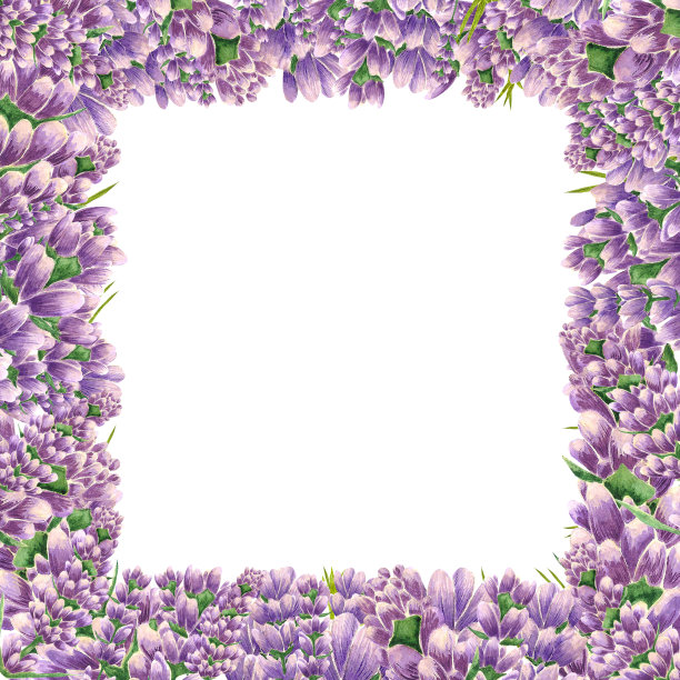 Handdrawn薰衣草花。水彩紫色薰衣草画框镶边。剪贴簿设计，印刷海报，邀请，标签，横幅和卡片。图片下载