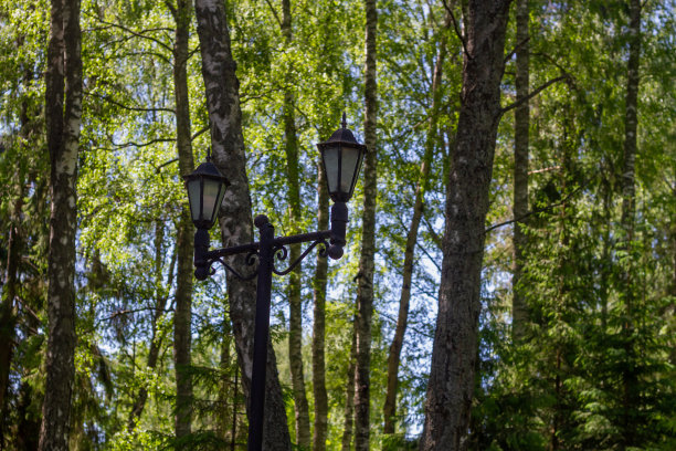 夏日午后森林或公园里的路灯图片下载