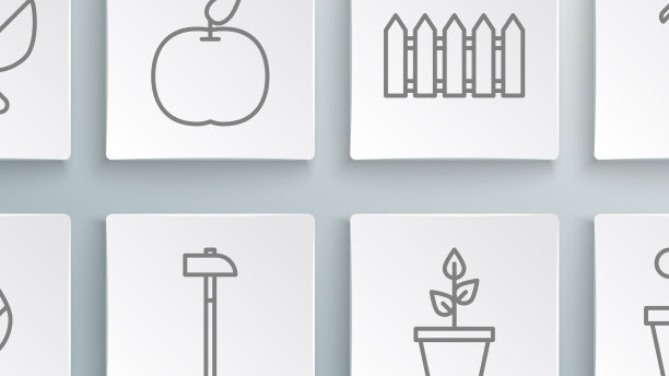 在盆栽仙人掌中设置线叶苹果锤株图片下载