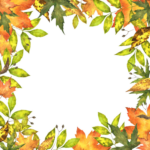 秋天的落叶。图片下载