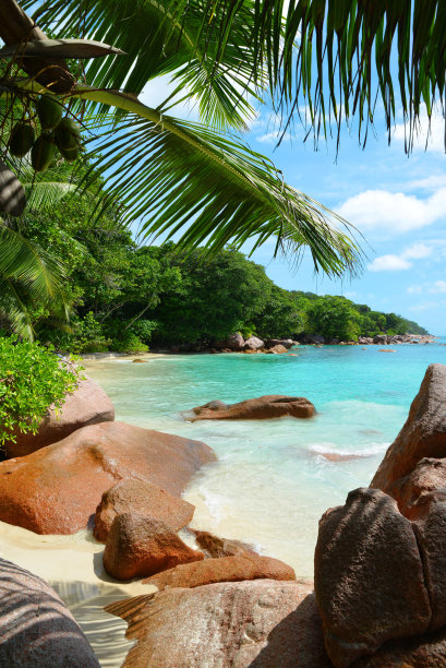 塞舌尔普拉林岛的安斯拉齐奥海滩。图片下载