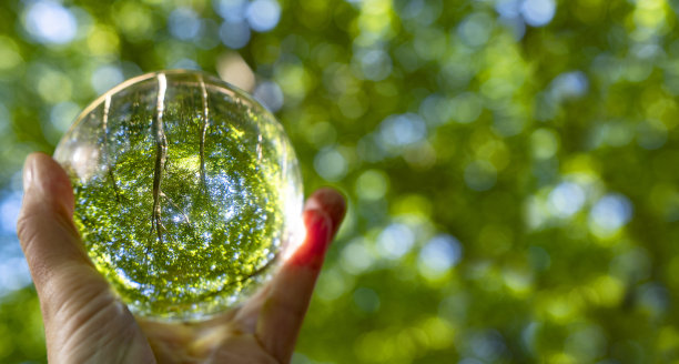 专注于照顾自然和气候与自然显示在一个水晶球与自然周围。对presentationmaterial有益。图片下载
