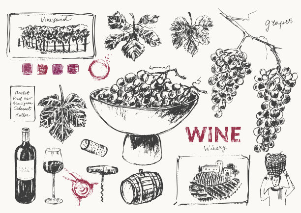 手绘葡萄酒插图集。图片下载