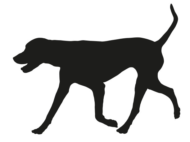 奔跑的达尔马提亚小狗。黑狗轮廓。宠物的动物。孤立在白色背景上。图片下载