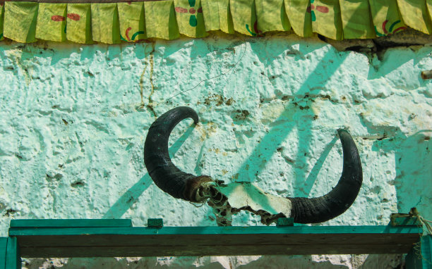 牦牛角图片下载