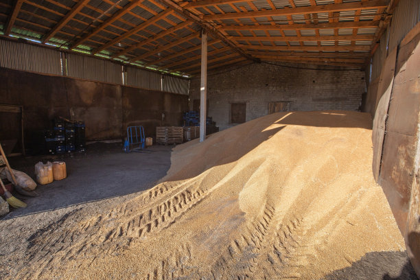 小麦仓储存粮食图片下载