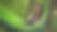 一个年轻的女人躺在吊床上看书。一个戴眼镜的女孩在大自然中进行自我发展。图片下载