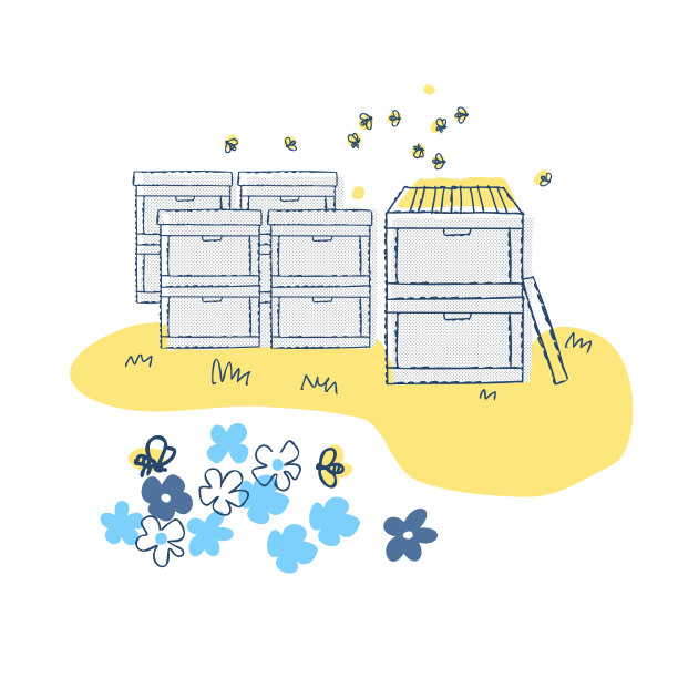 采蜜的蜜蜂和蜂箱图片下载