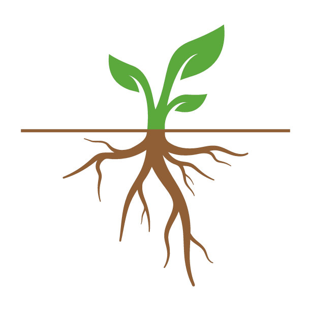 植物与根标志矢量图标插图图片下载