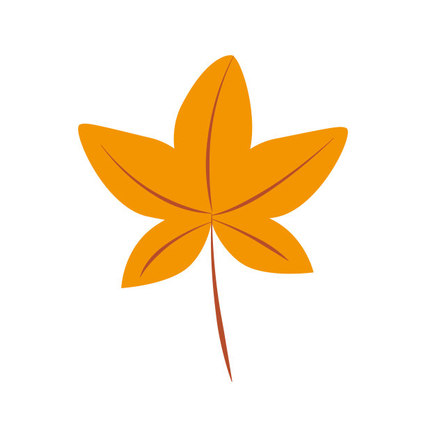 野生葡萄的卡通叶子，矢量涂鸦插图。孤立在白色的。图片下载