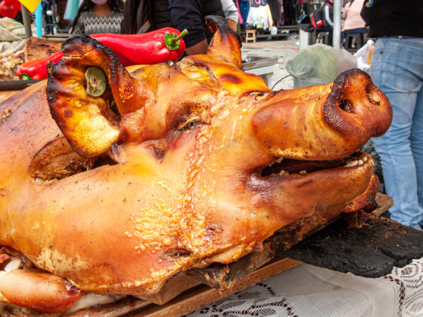 大烤全猪(钱乔)图片下载