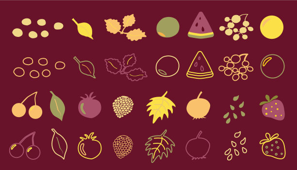 涂鸦夏天浆果和树叶混合设置图片下载