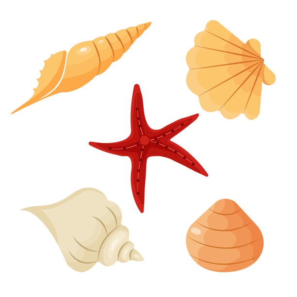彩色热带贝壳水下图标集图片下载