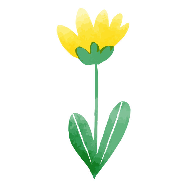 可爱的郁金香水彩图片下载