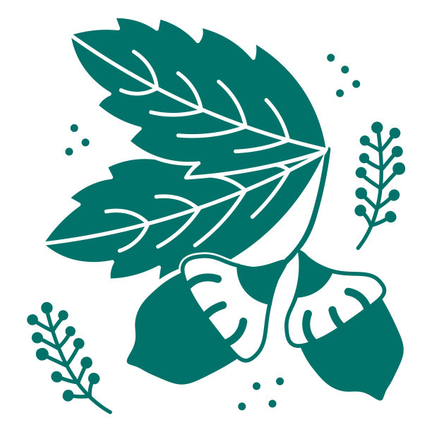 剪下的装饰性橡子和叶子图片下载