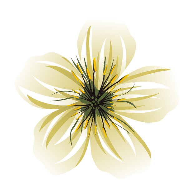 白花卡通图片下载