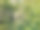 一名十几岁的女孩在游乐园的树木之间的索桥上走在安全装备和头盔。森林中的绳索公园。夏天的乐趣和体育冒险的人。快乐的女学生在一个夏天的登山冒险公园享受活动。图片下载
