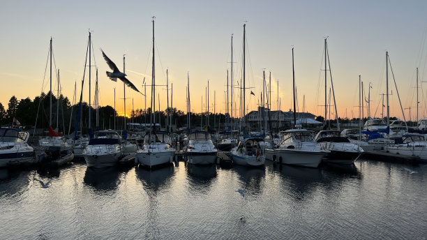 丈夫A12图片下载