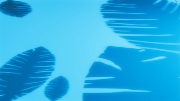最小抽象背景在蓝色石膏墙上的叶影。春季和夏季。图片下载