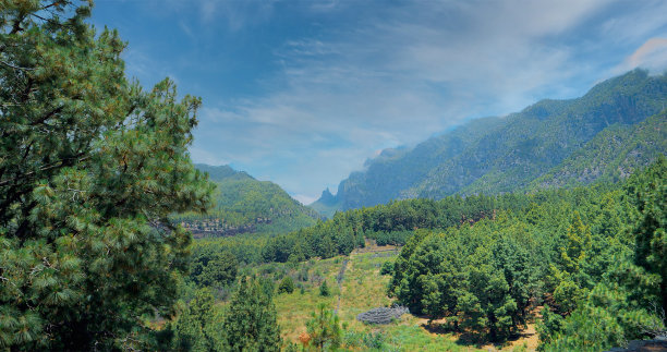 在加那利群岛的拉帕尔马，松树和云的绿色山谷的广泛拍摄图片下载