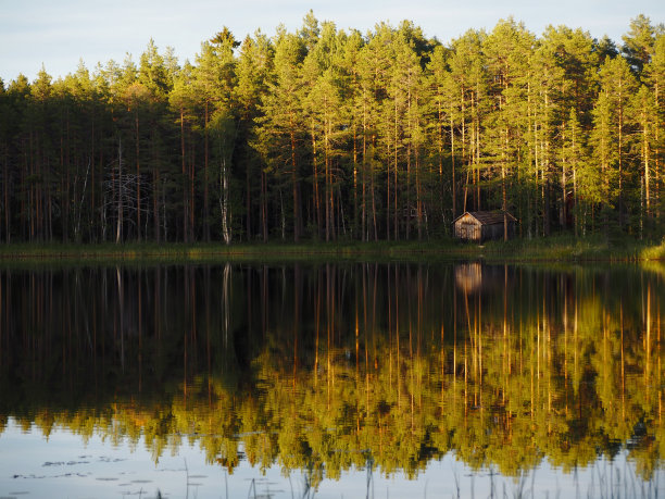 树林里的小木屋图片下载