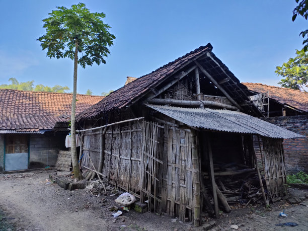 这个笼子是用竹子做的图片下载