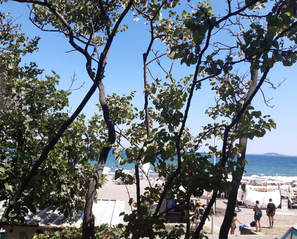 从海上花园看，布尔加斯，保加利亚图片下载