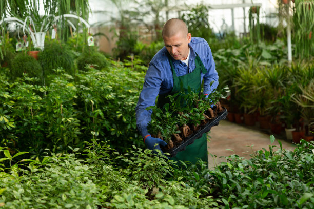 工厂工人正在搬运装有植物的箱子图片下载