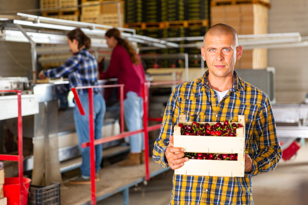 年轻的男农民站在仓库里，手里拿着一箱樱桃图片下载