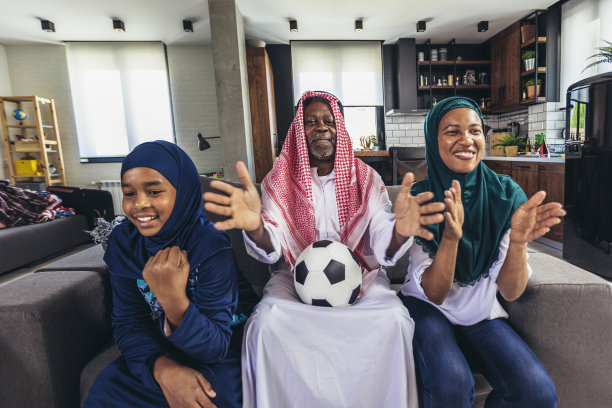 看足球比赛。图片下载