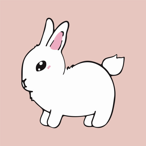 可爱的小白兔在粉红色的背景图片下载