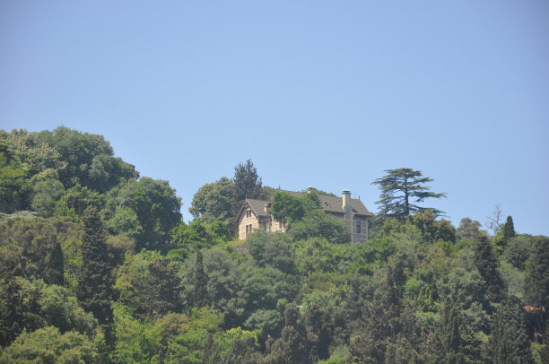 森林里的一座建筑图片下载