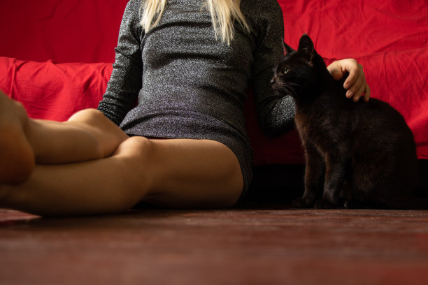 一个小女孩光着脚坐在红沙发旁边的脏地板上，旁边有一只黑猫，休息和宠物，一个女孩和一只猫图片下载