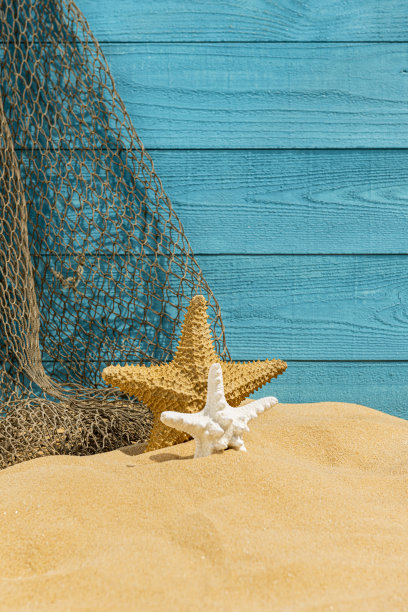 绿松石色木纹板墙、沙、渔网和2只海星背景图片下载
