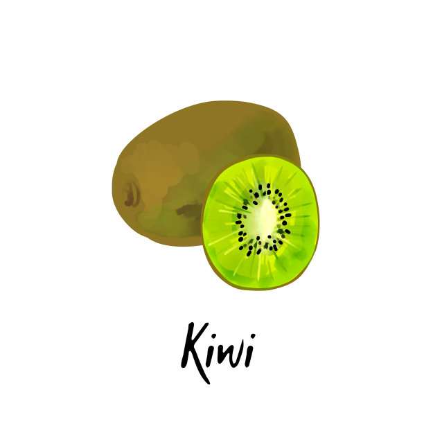 一只猕猴桃被孤立在白色的图片下载