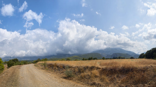 希腊埃维亚岛上的一条乡村道路和松树林中的积云图片下载