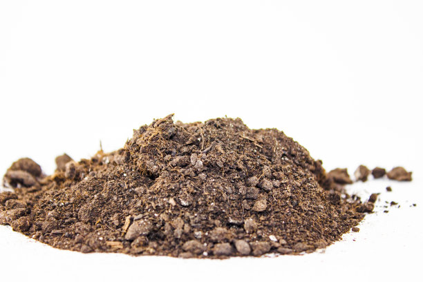 地球，白色背景上孤立的土壤。白色背景上的土壤。图片下载