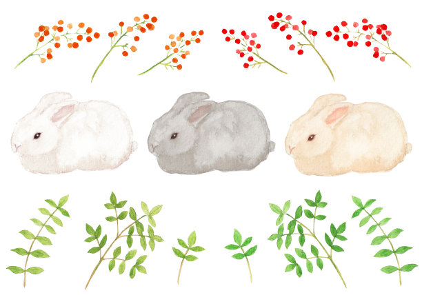 冬天兔子水彩图片下载