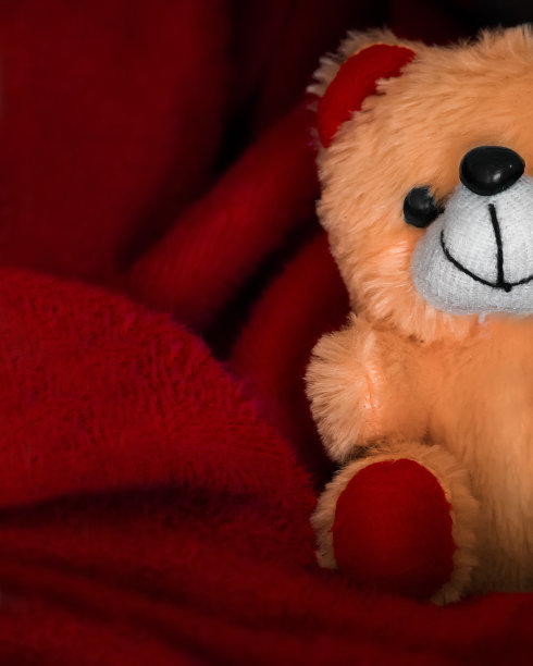 橙色毛毛泰迪玩具与红色毛毛织物展开作为背景图片下载